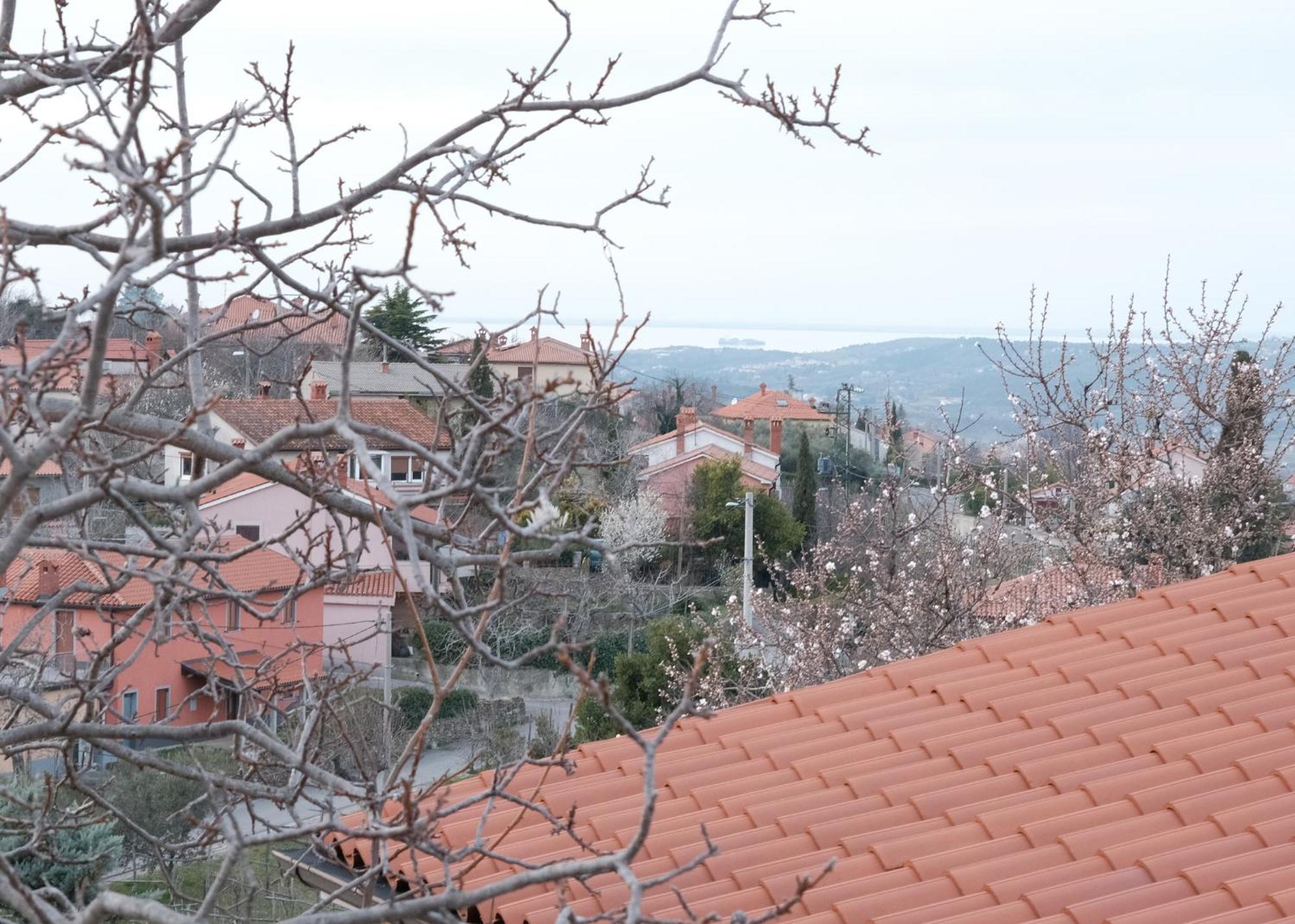 Apartma Nika Pobegi Exterior photo